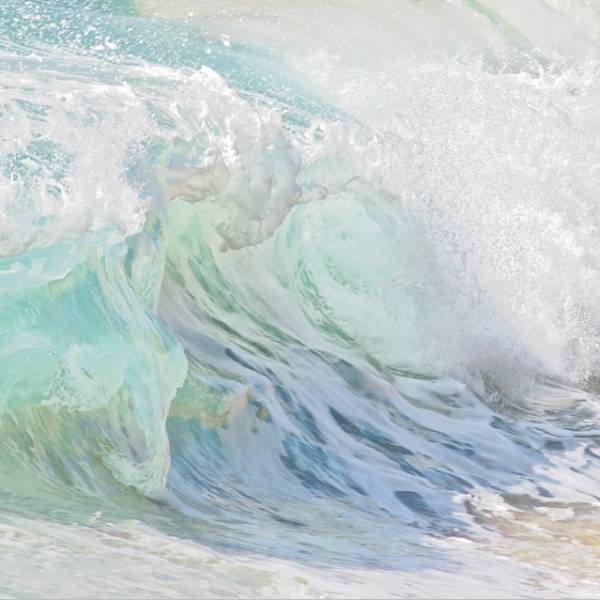 - a , Print by Lisa Woollett, measuring 20 x 20 cm (H x W) framed at 34 x 34 cm £30